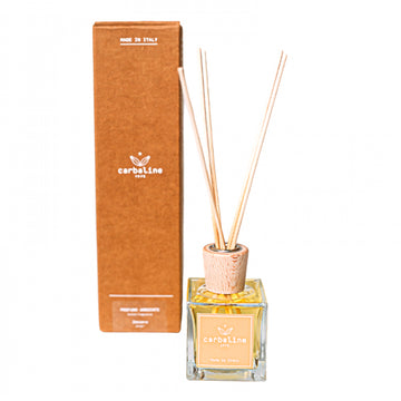 Carbaline namų kvapas Ginger 100ml